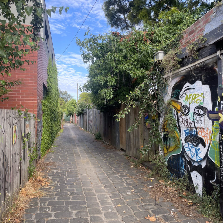 Bluestone laneway with painted face mural, Melbourne inner north, hidden__north documentary photography