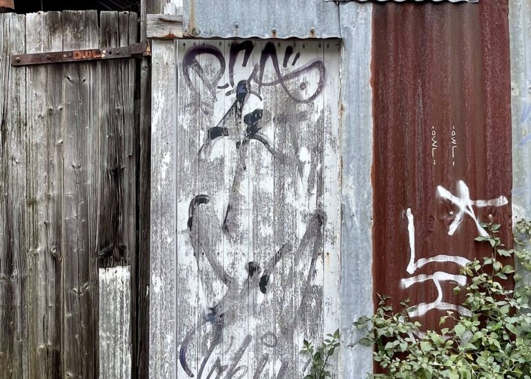 Weathered timber gate with stencil graffiti, Melbourne inner north, hidden__north documentary photography