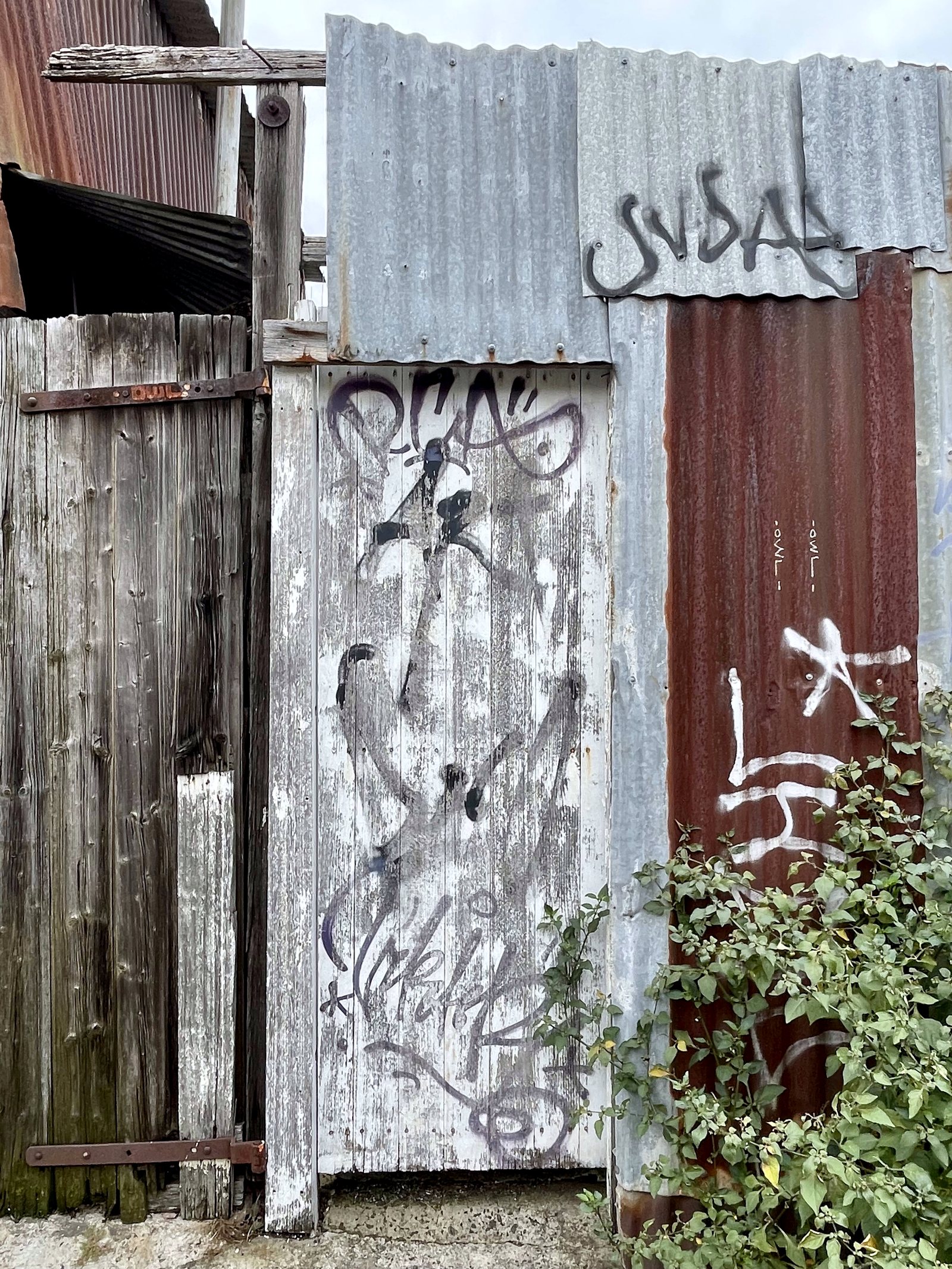 Weathered timber gate with stencil graffiti, Melbourne inner north, hidden__north documentary photography
