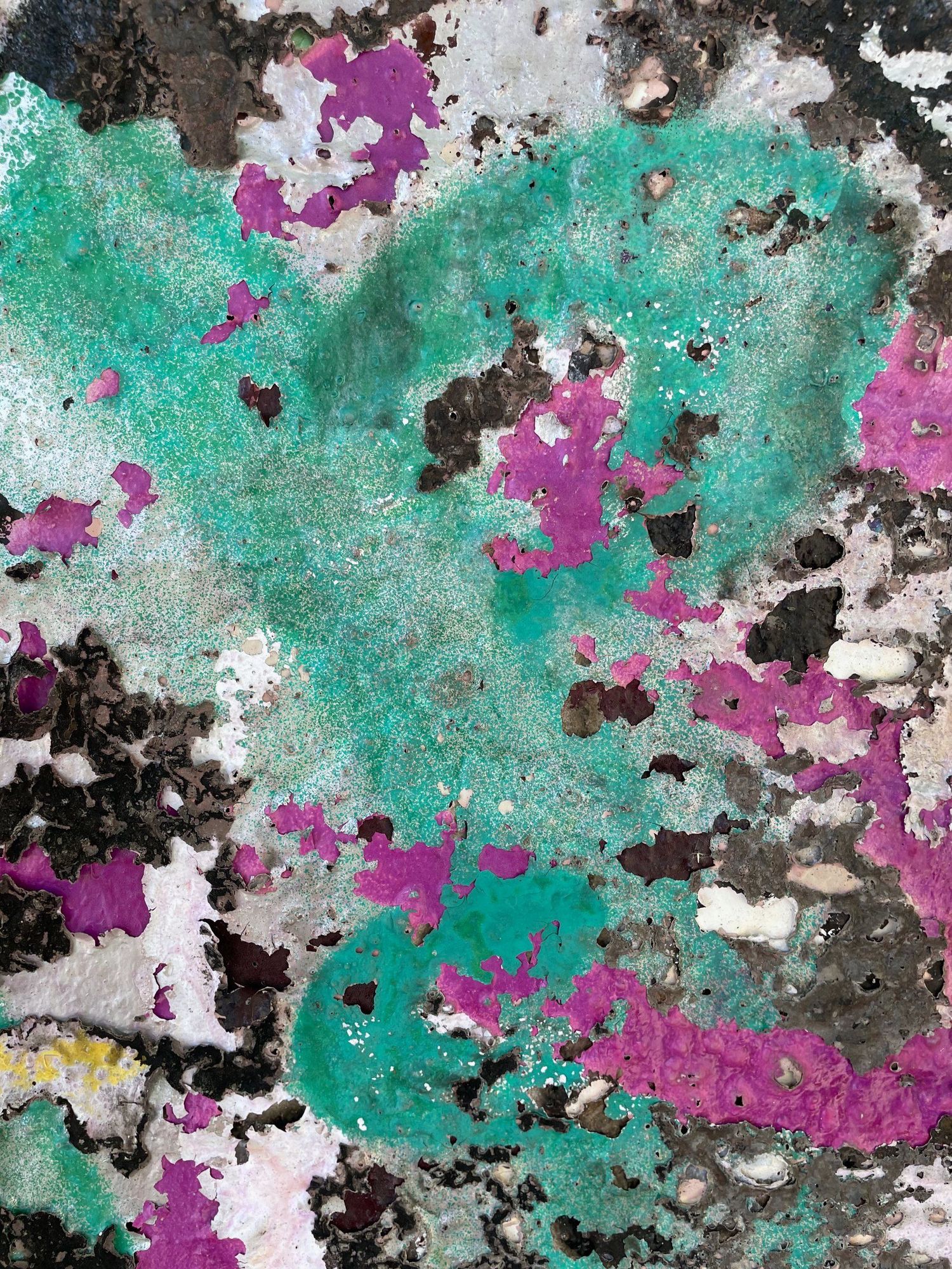 Peeling teal and magenta paint layers on a wall, Melbourne inner north, hidden__north documentary photography