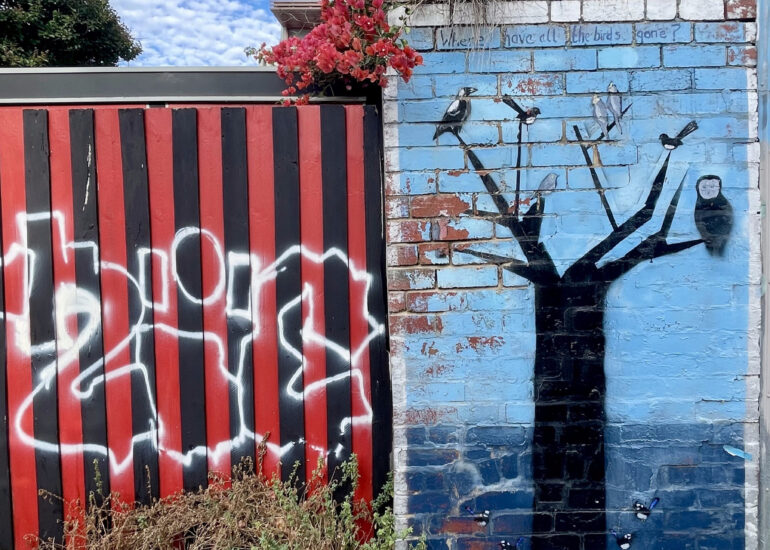 Painted tree mural under bougainvillea, Melbourne inner north, hidden__north documentary photography