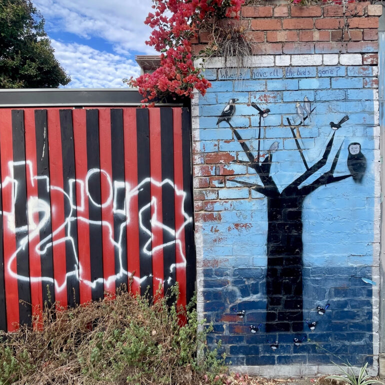 Painted tree mural under bougainvillea, Melbourne inner north, hidden__north documentary photography