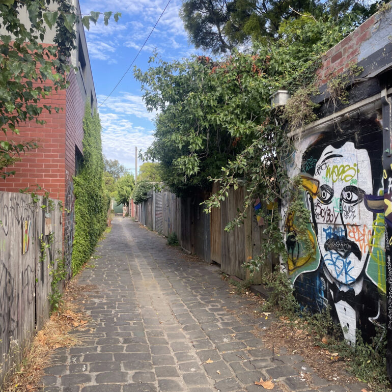 Bluestone laneway with a painted face mural and overgrown fences, Melbourne inner north, hidden__north documentary photography