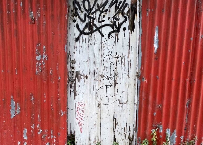 Weathered white timber door between red corrugated iron fence panels, Melbourne inner north, hidden__north documentary photography