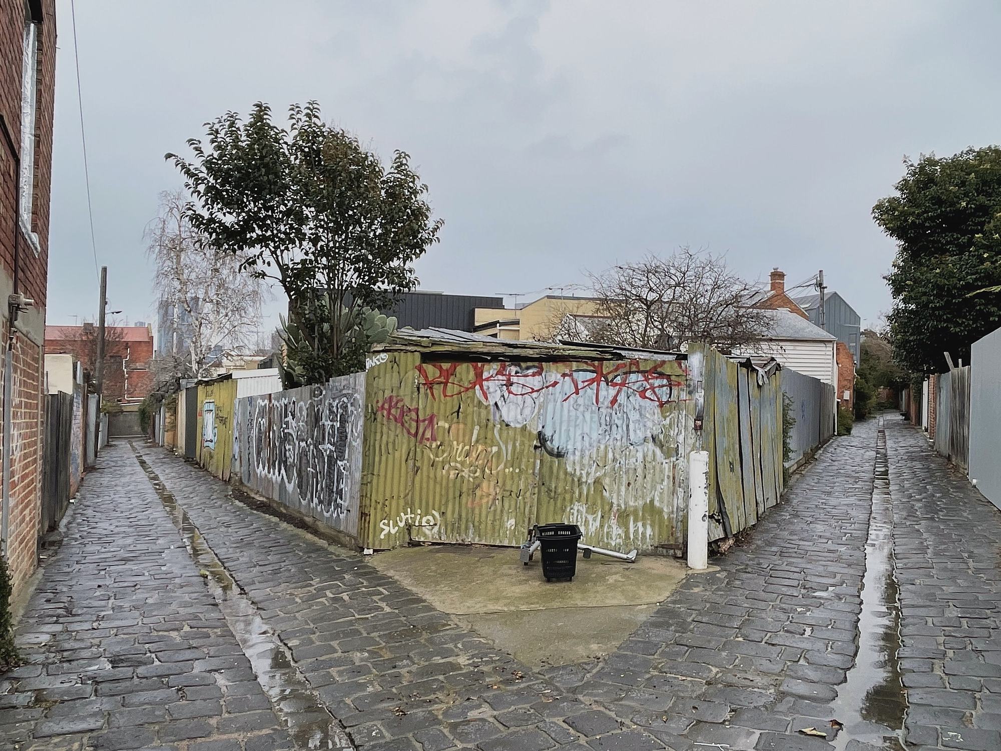 Wet bluestone laneway forking around a graffitied corrugated fence, Melbourne inner north, hidden__north documentary photography